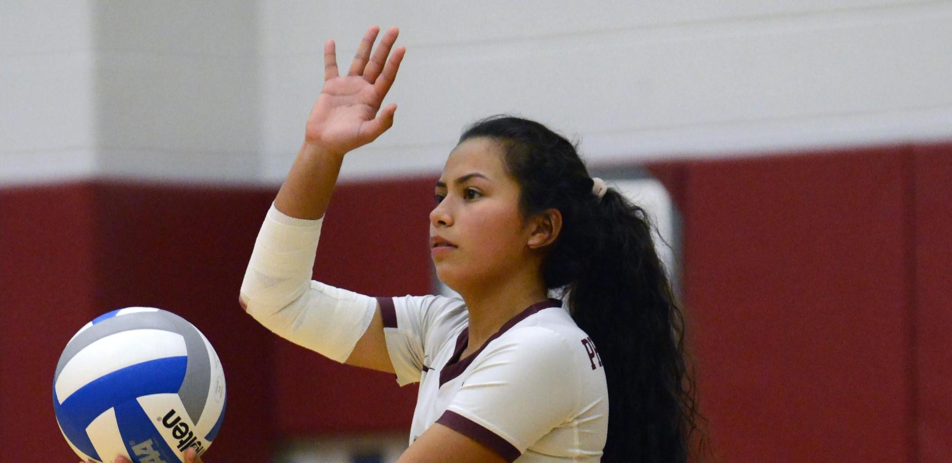 Volleyball