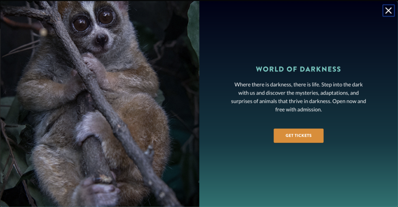 Bronx Zoo; World of Darkness Exhibit Featured Photo