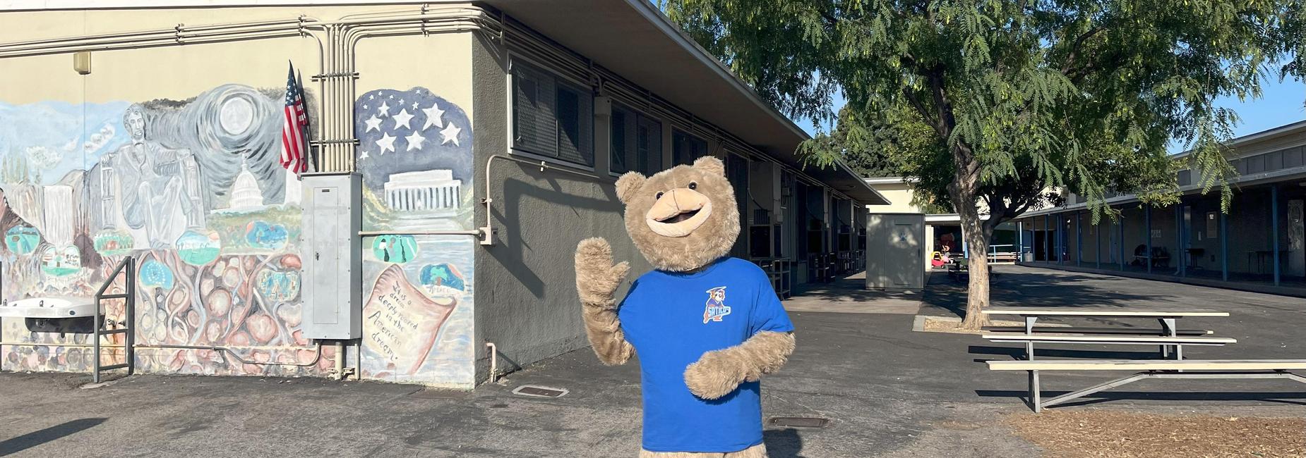 Meet our new mascot, Barry the Bear!