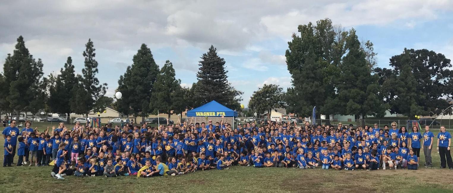 Whole School