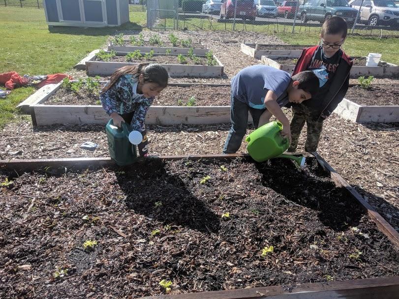 Three students watering plants in a raised garden bed