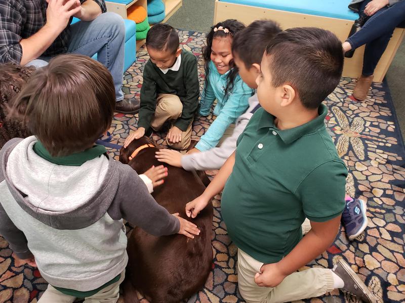 TheraPaws: A New Approach to Reducing Stress and Reinforcing Social-Emotional Learning in the Classroom Thumbnail Image