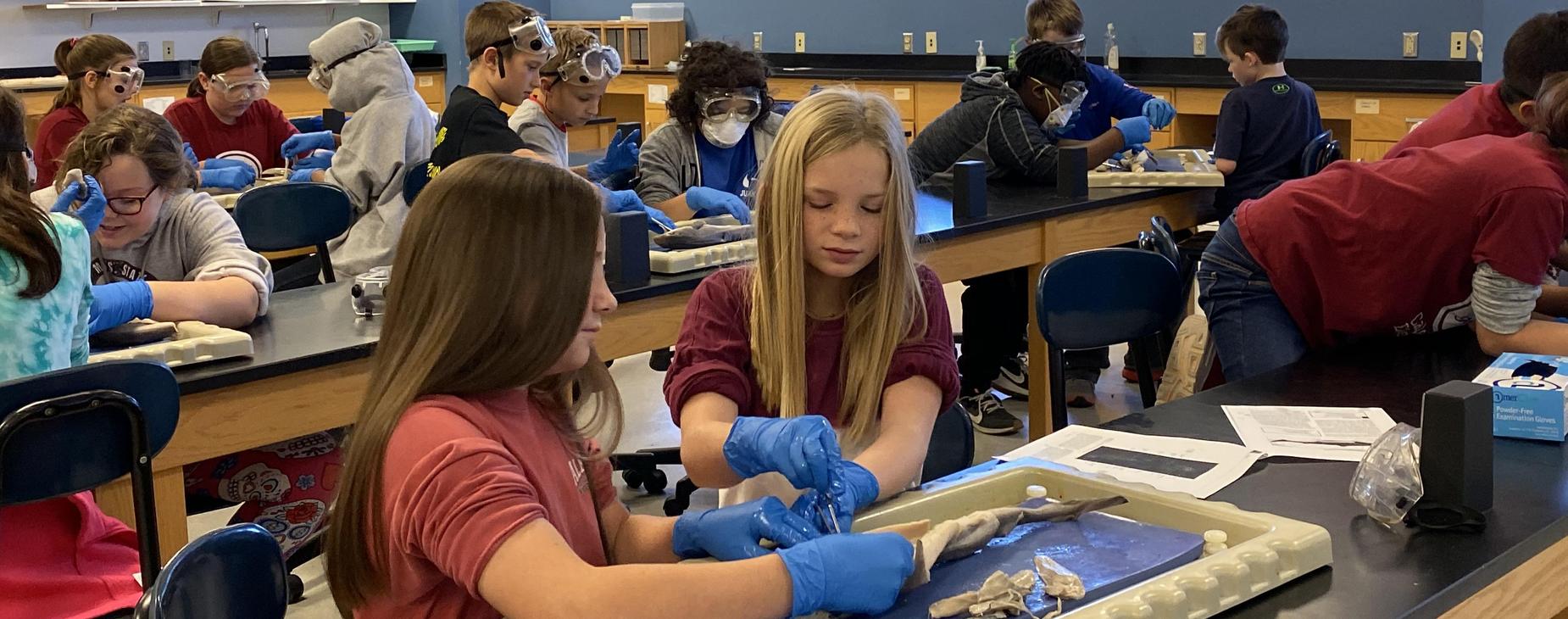 EMCC Dissecting Field Trip 3