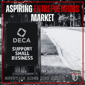 Aspiring Entrepreneurs Market