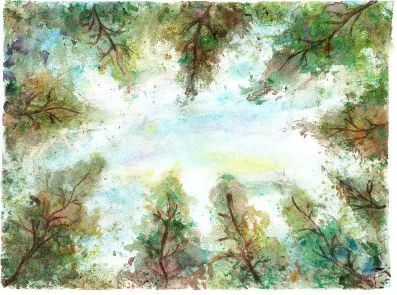 Watercolor painting of trees