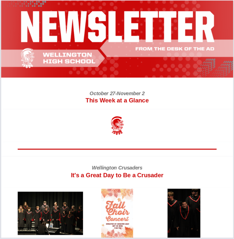 newsletter preview