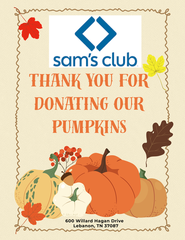 pumpkin flyer
