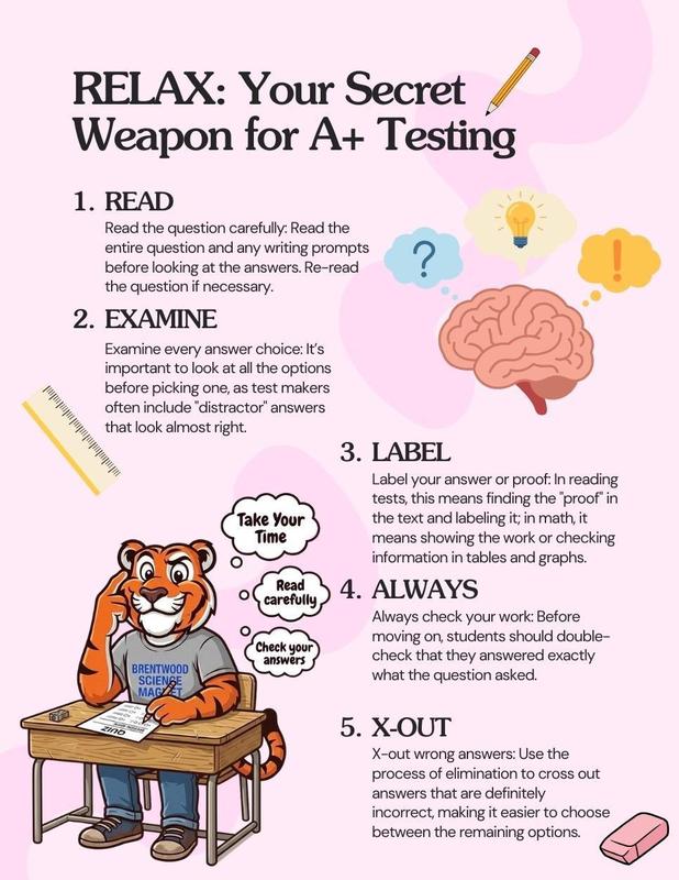 BSM Testing