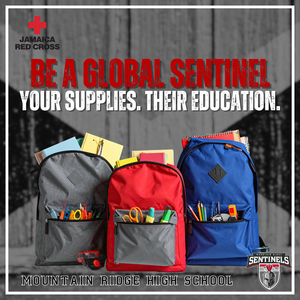 Support primary schools in Jamaica