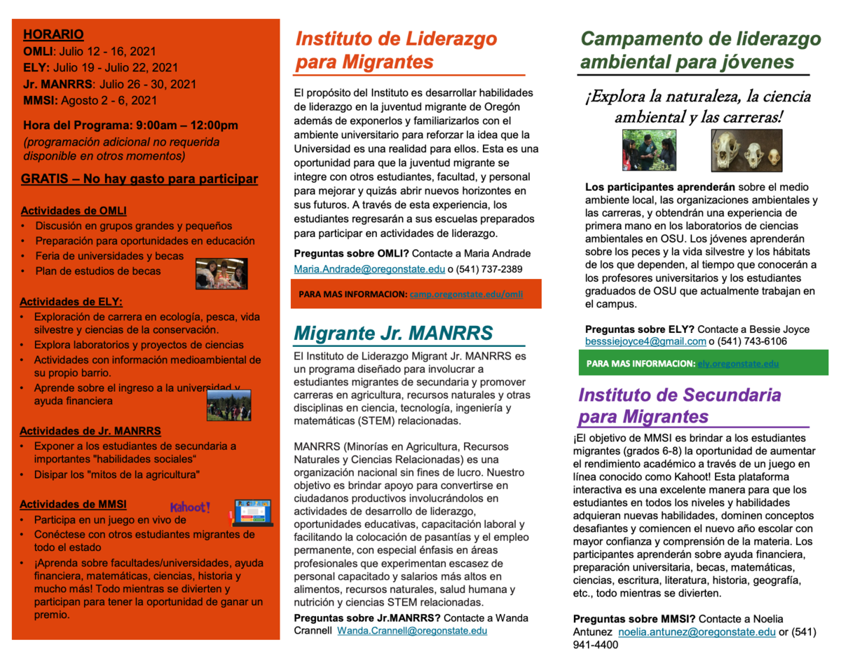Brochure