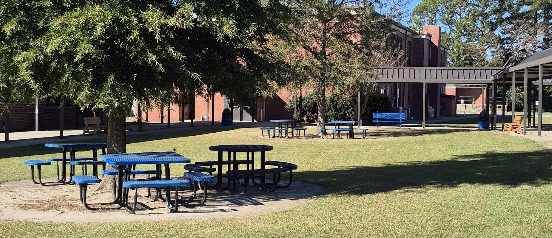 Outdoor area with blue picnic tables and benches under trees.