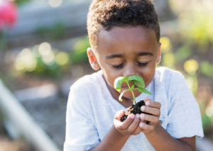 Green Schoolyard Plan Appendix