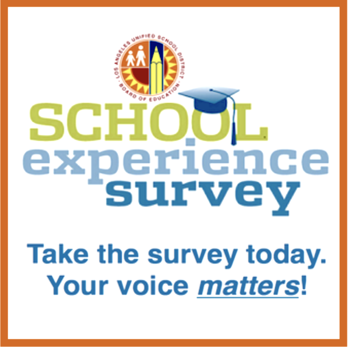 School Experience Survey