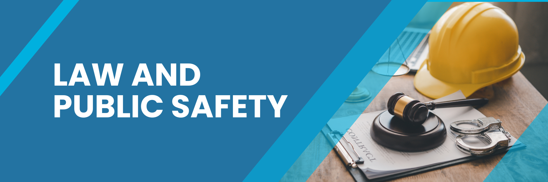 Law and Public Safety Pathways