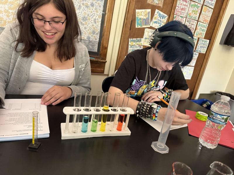 Two students conducting a science experiment with test tubes and taking notes.