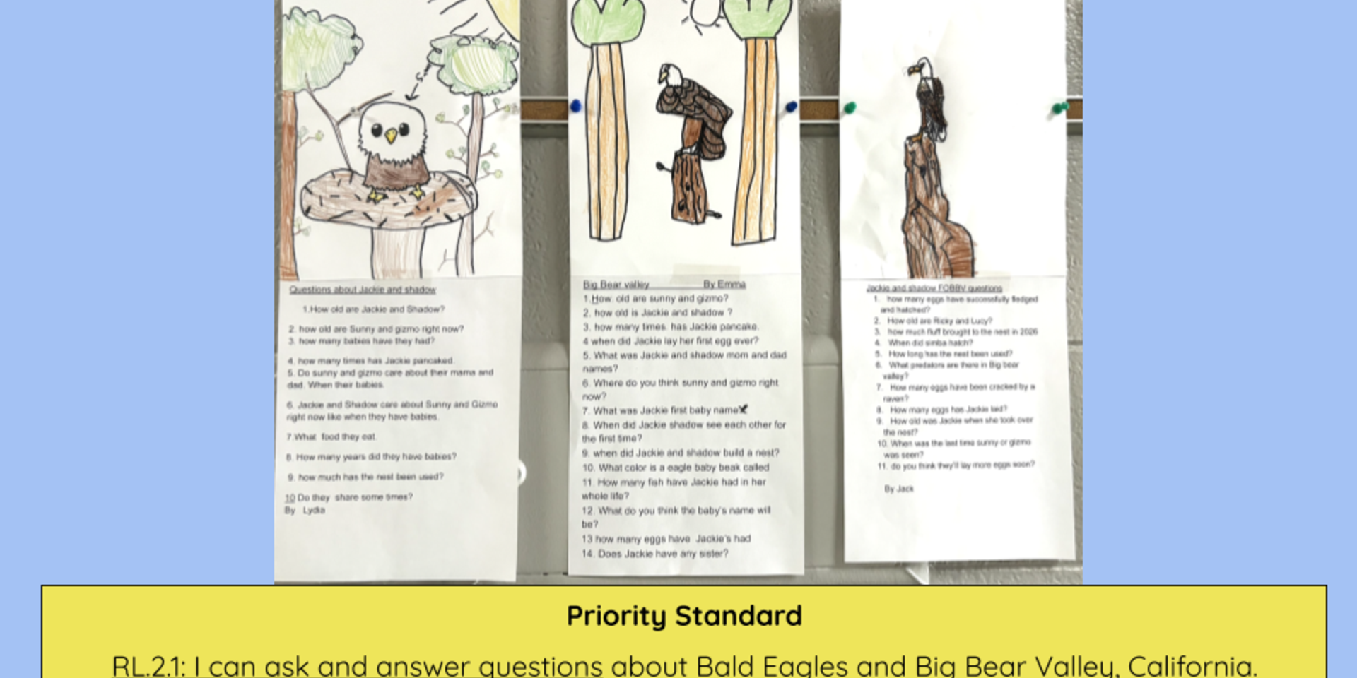 Mrs. Wandsneider's class "Zooming" with eagles.