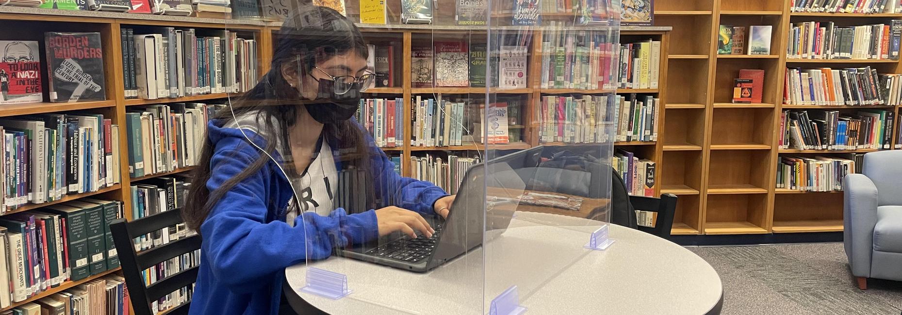 Hybrid Learning