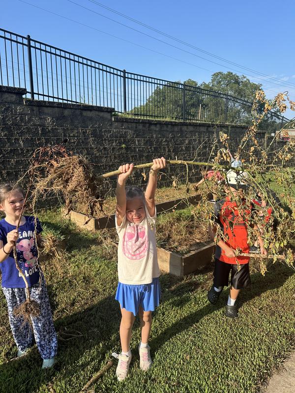 Farmtoschool