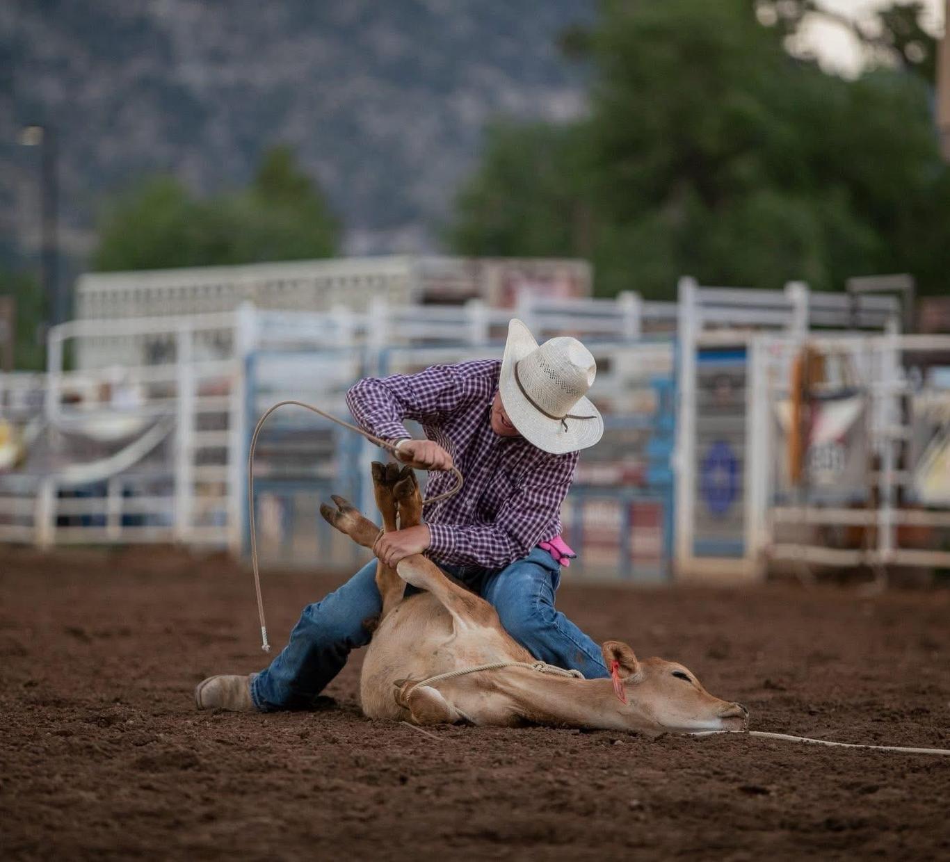 Cowboy in a plaid shirt roping a calf on a rodeo ground.