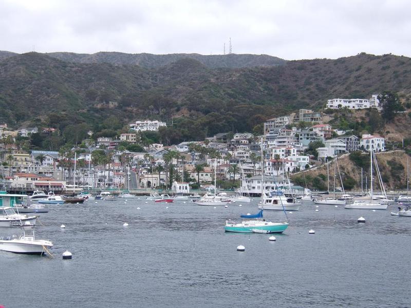 Catalina Island field trip