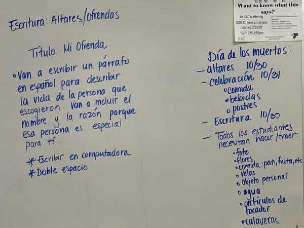 Dia de los muertos projectjpg.jpg