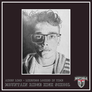 Aiden Limb - Likeness Locked in Time