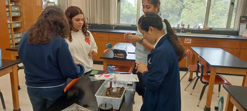 Environmental Science