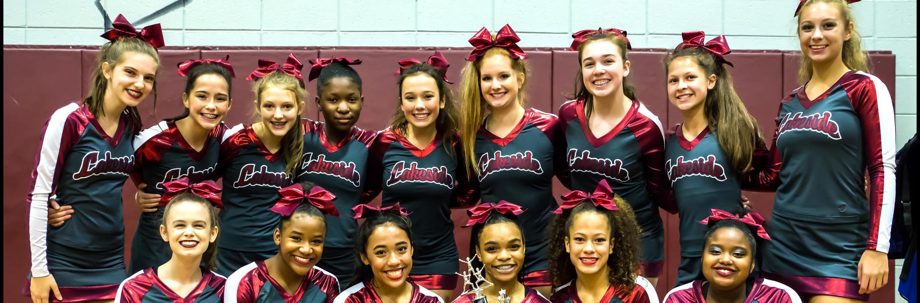 Picture of LHS JV Cheer Team