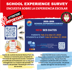 survey