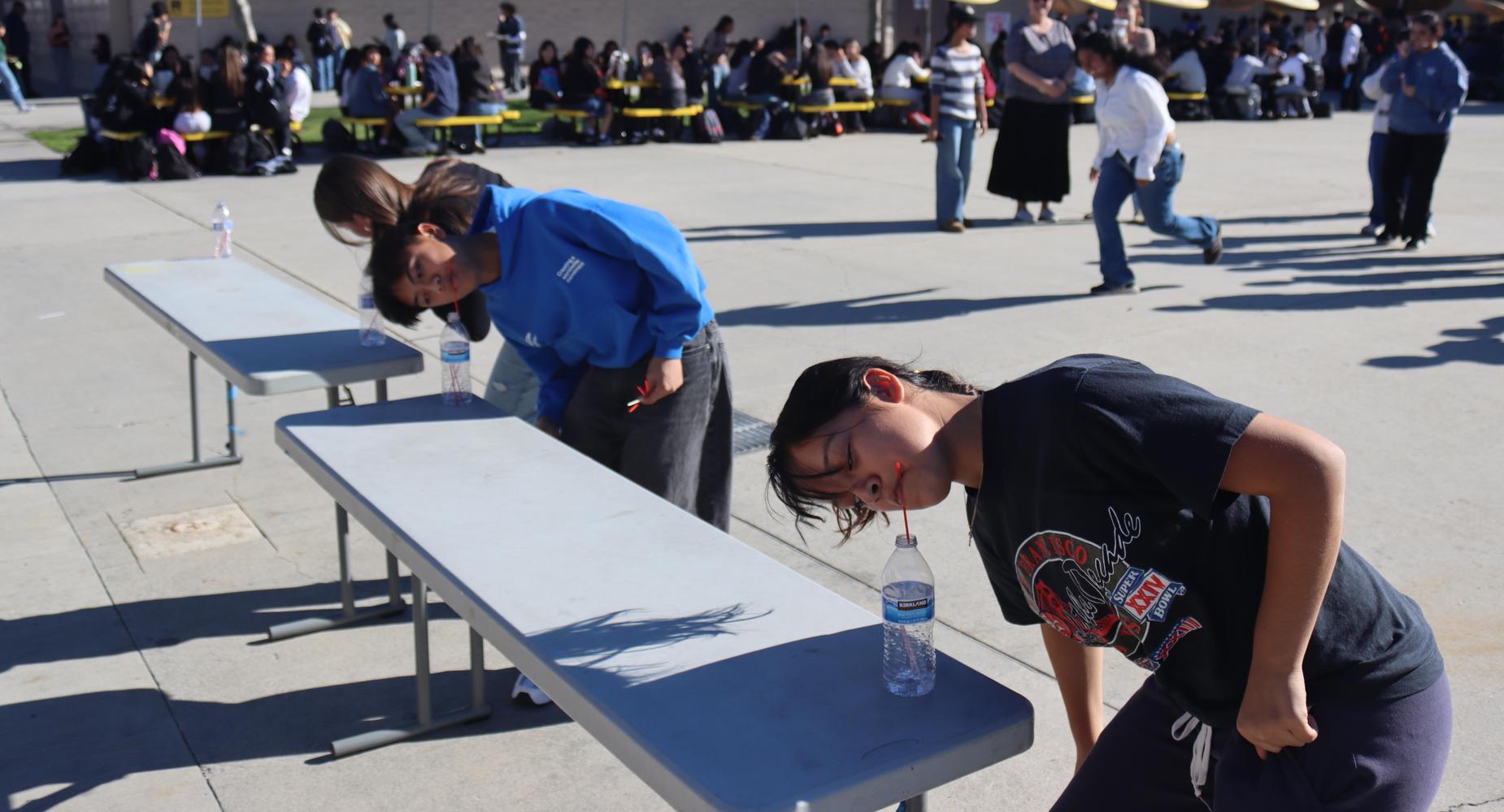 Picture of Students at CHS