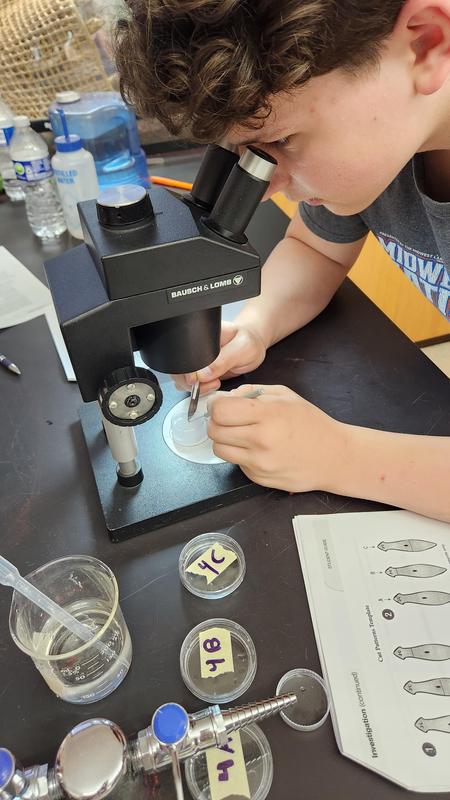Zoology students doing their own research