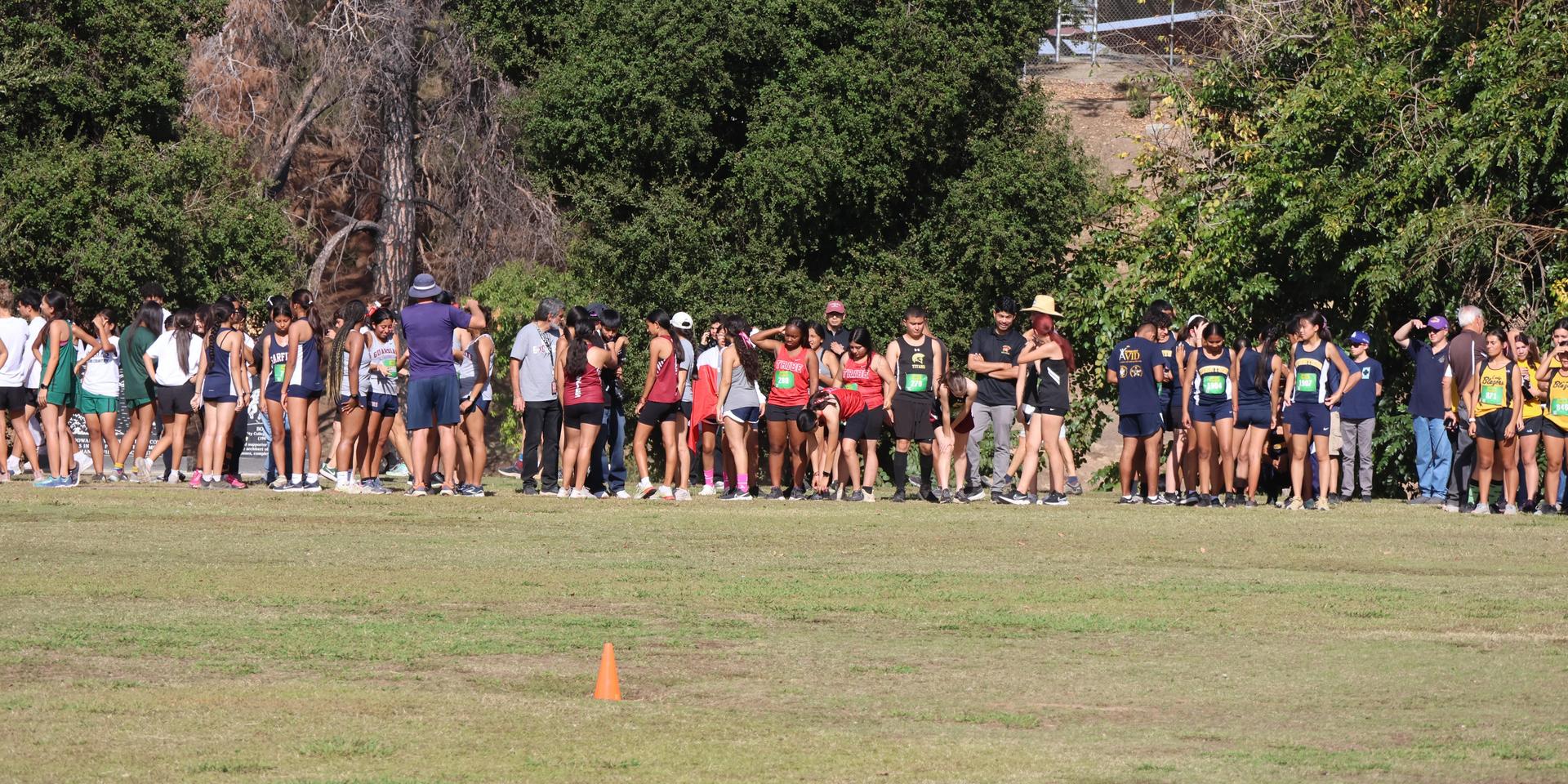 cross country runners in action