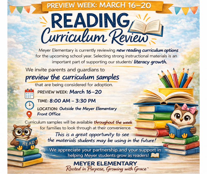 reading curriculum review