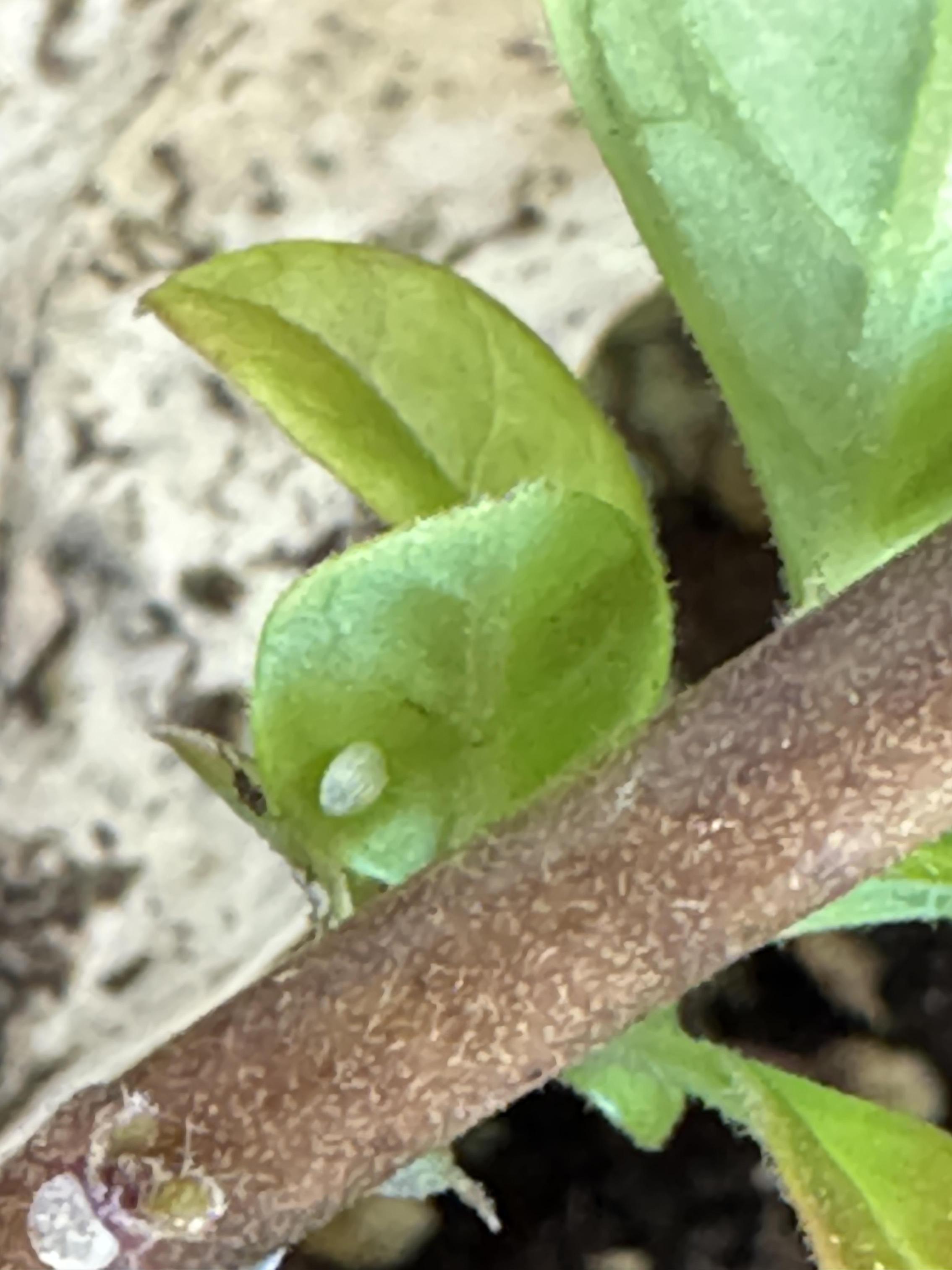 Students working on stewardship project