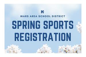 a blue sky background with white flowers