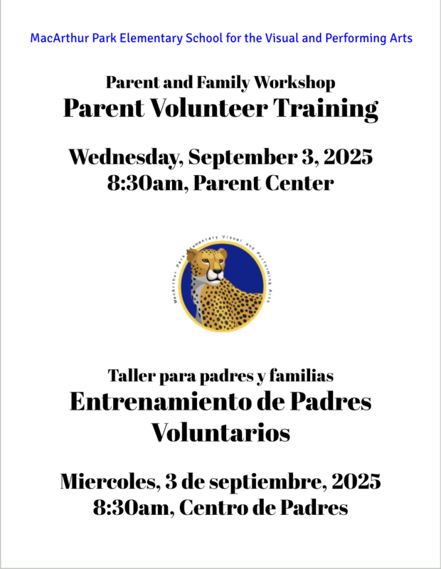 Flyer