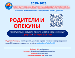 SES Flyer Russian