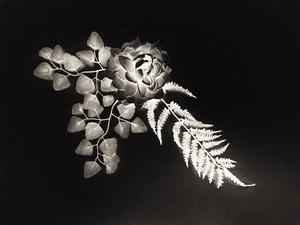 Students create camera less images