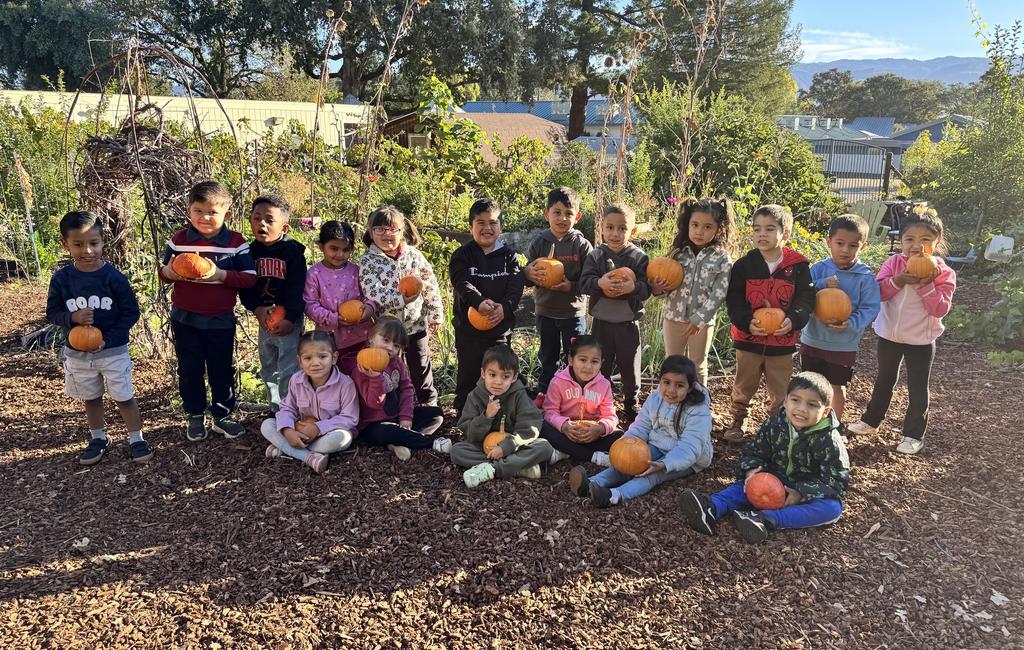 TK Student in the garden holding a pumpkin