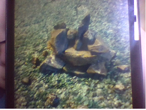 rock art (5)