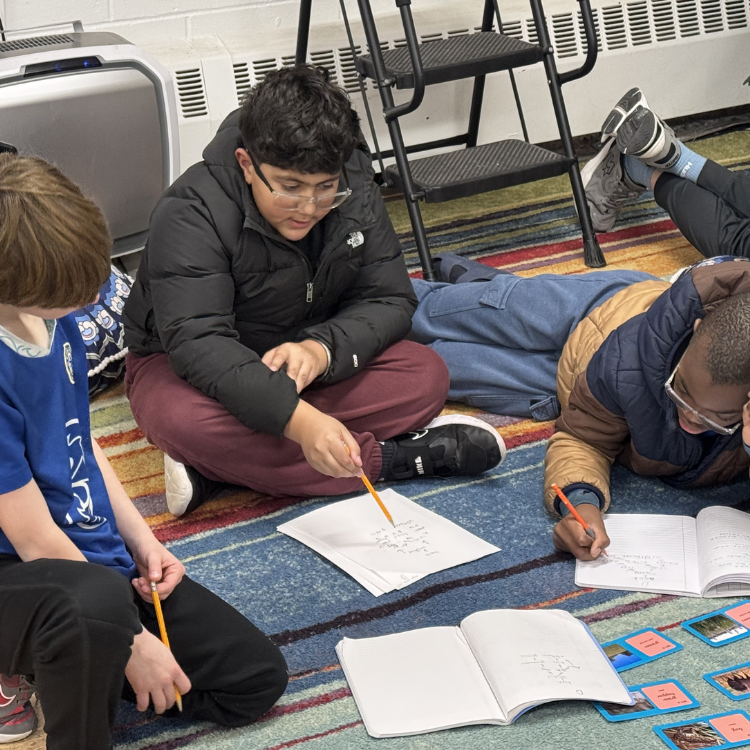 From Ecosystems to Atoms: Middle School Science in Action