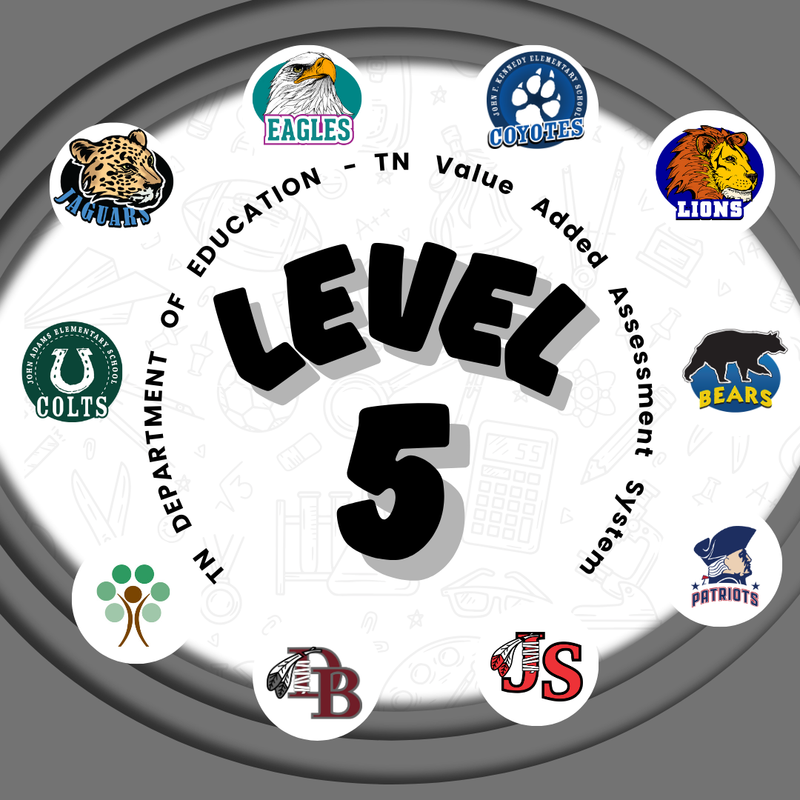 Level 5 District/Schools graphic