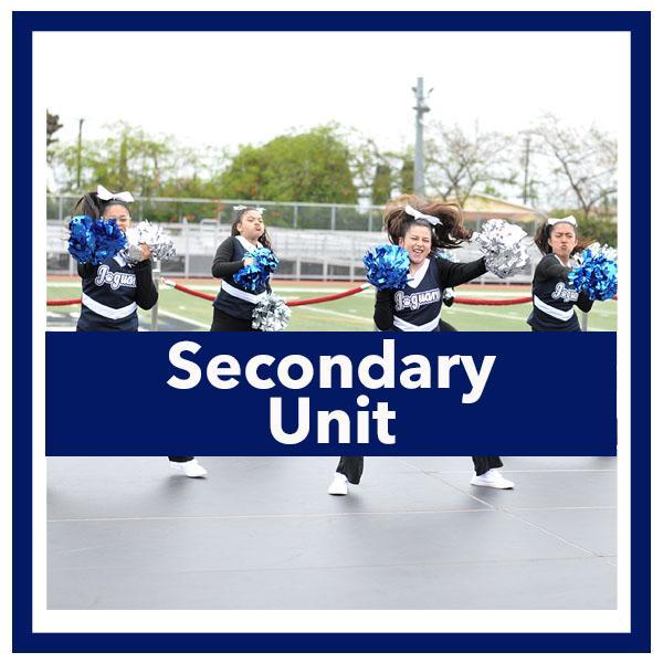 Secondary Unit