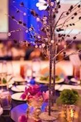 Christmas Luncheon and Fashion Show Slated for December 16! Featured Photo