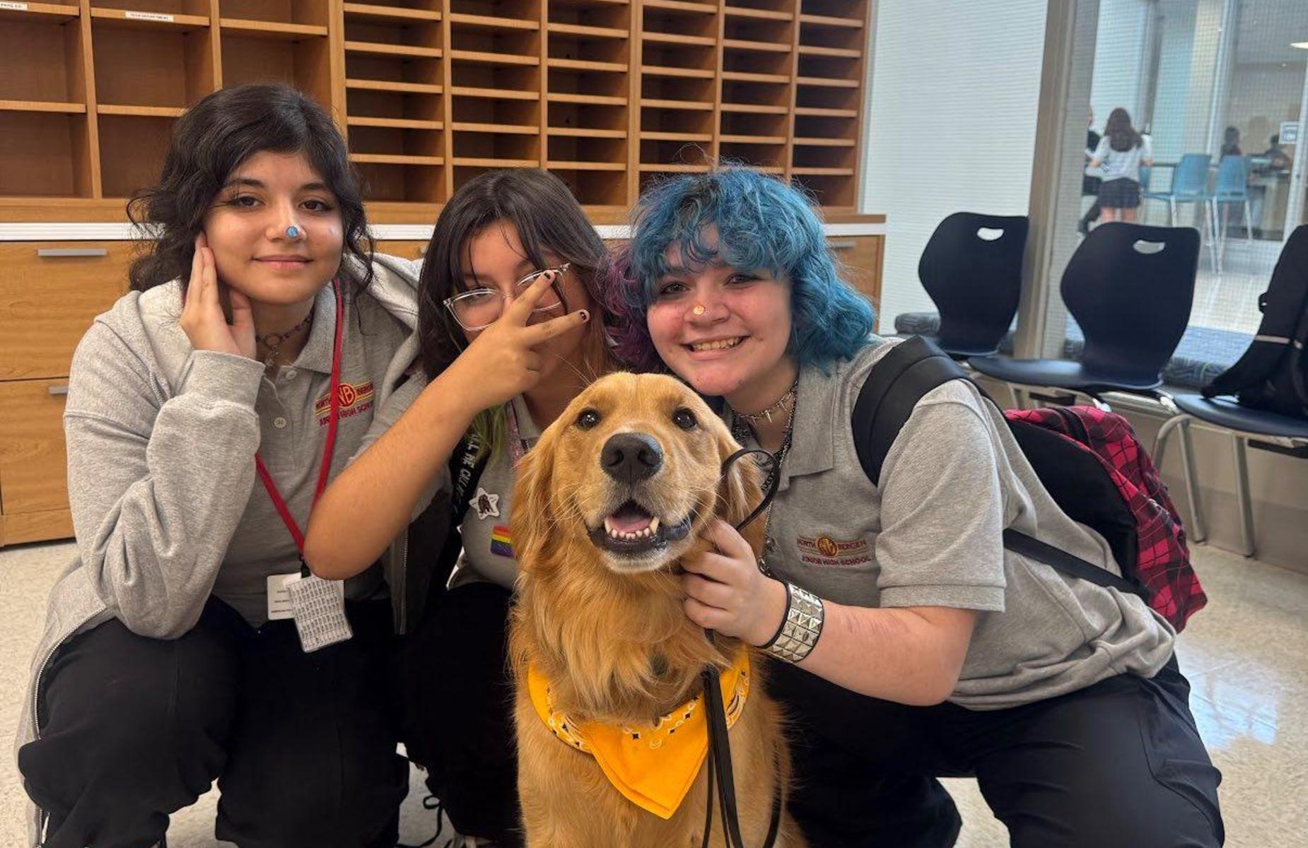 students in the main office with golden retriever
