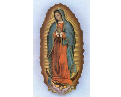 Pray a Novena to Our Lady of Guadalupe beginning December 4th Featured Photo