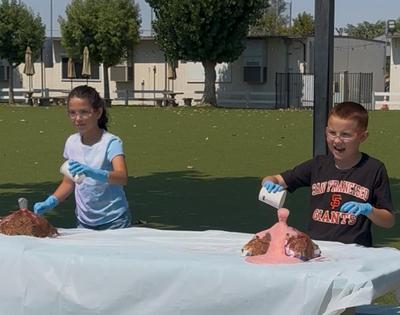 Summer Program: July 2025