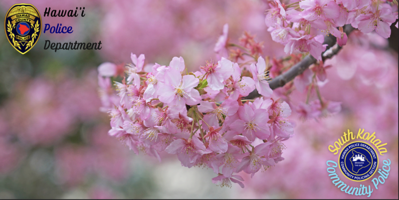 Hawaii Police Department Newsletter