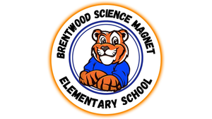BSM Logo