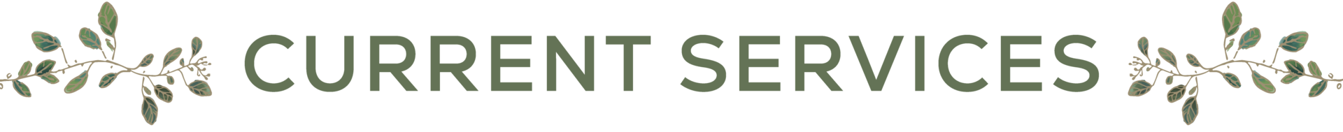 Decorative divider with leafy vines on both sides and the word “Current Services” in green centered between them.